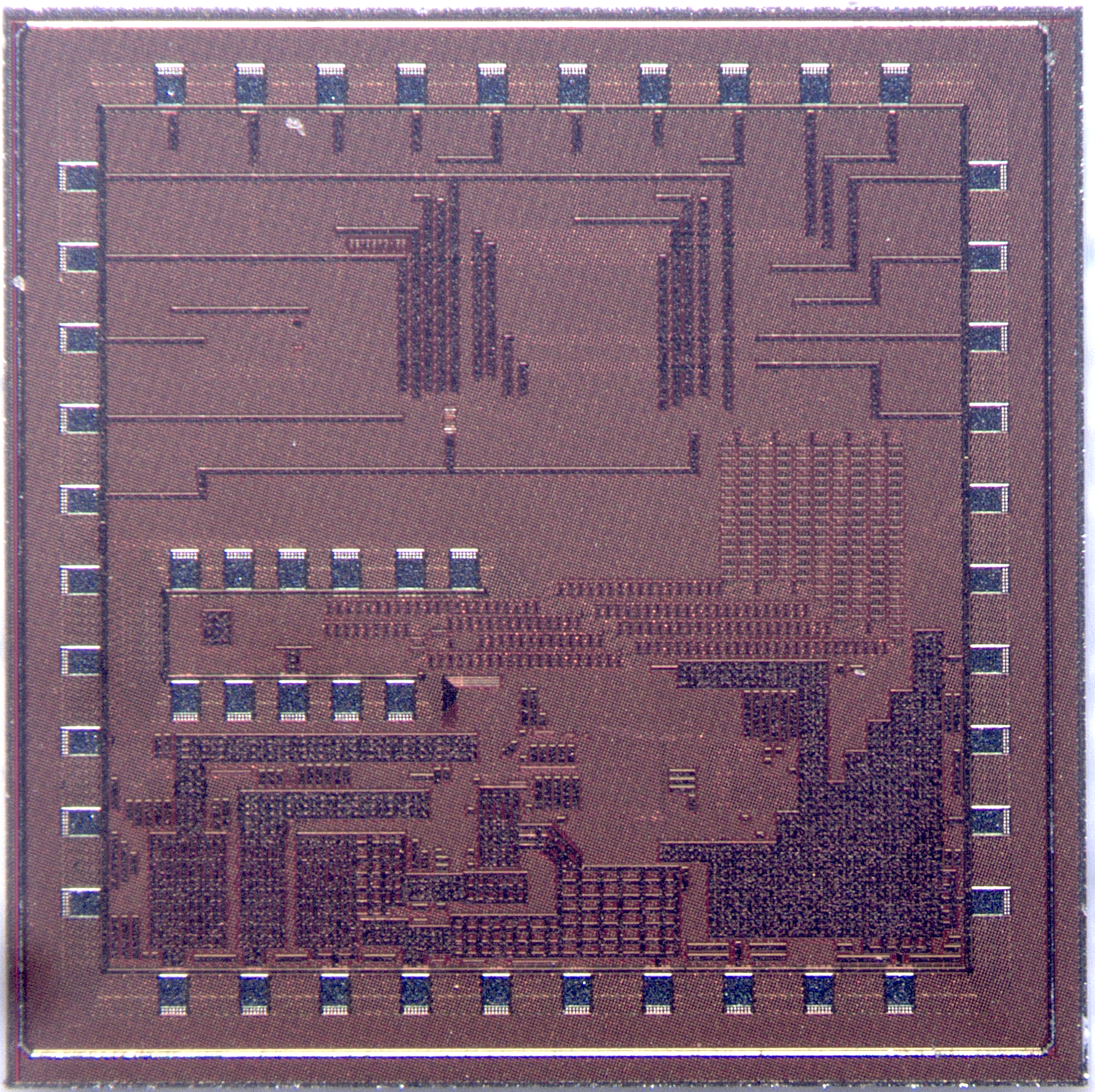 Chip Gallery | Nijwm Wary